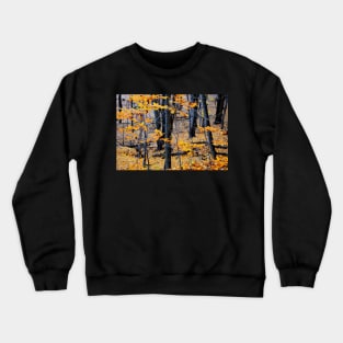 Autumn Crewneck Sweatshirt